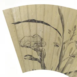 (detalle) de orquídeas, hongos y roca